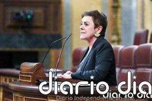 Bildu cuestiona la enmienda de Junts y recalca que no es momento de unas elecciones porque favorecerían a la derecha