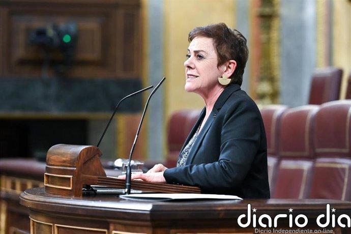 Bildu cuestiona la enmienda de Junts y recalca que no es momento de unas elecciones porque favorecerían a la derecha