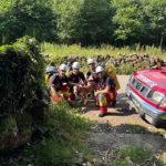 Bomberos rescatan a una perra caída en una sima en un monte de Villasuso en Cieza