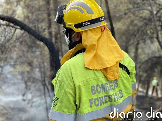 Bomberos trabajan en un incendio forestal declarado en Serra