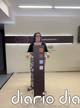 CHA alerta del "clima de tensión" por la actuación de la Inspección Educativa en Huesca y reclama transparencia