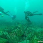 Científicos, buzos y ecologistas alertan del impacto ambiental y social de extraer el pecio del 'Ivy' de la ría de Vigo