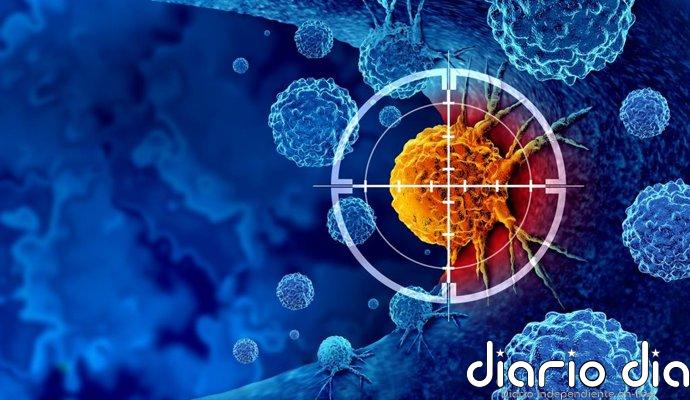 Científicos logran un paso clave para fabricar células capaces de combatir tumores