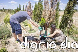 Colegios de Magallón (Zaragoza), La Laguna y Avilés se imponen en el concurso 'R7 por el Planeta' de Fundación Ibercaja