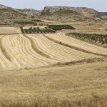 Continúa el aviso nivel naranja por temperaturas máximas en gran parte de Aragón