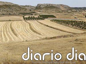Continúa el aviso nivel naranja por temperaturas máximas en gran parte de Aragón