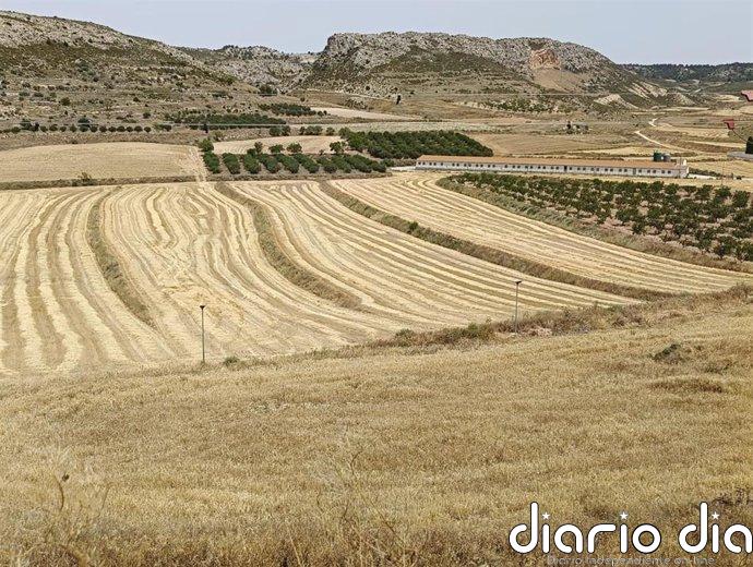 Continúa el aviso nivel naranja por temperaturas máximas en gran parte de Aragón