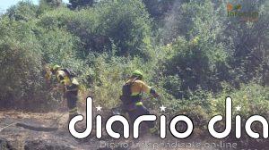 Controlado el incendio declarado en Méntrida (Toledo)