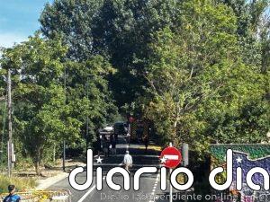 Controlado sin heridos un incendio en el Camino de Cortes de Burgos tras provocar 80 llamadas al 1-1-2
