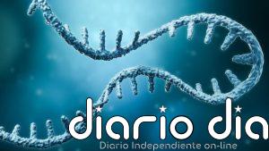 DDX6, la proteína que ayuda a los tumores a evadir el sistema inmunitario