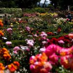 De antigua escombrera a jardín histórico: La Comunidad inicia la protección como BIC del Parque del Oeste de Madrid