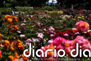 De antigua escombrera a jardín histórico: La Comunidad inicia la protección como BIC del Parque del Oeste de Madrid