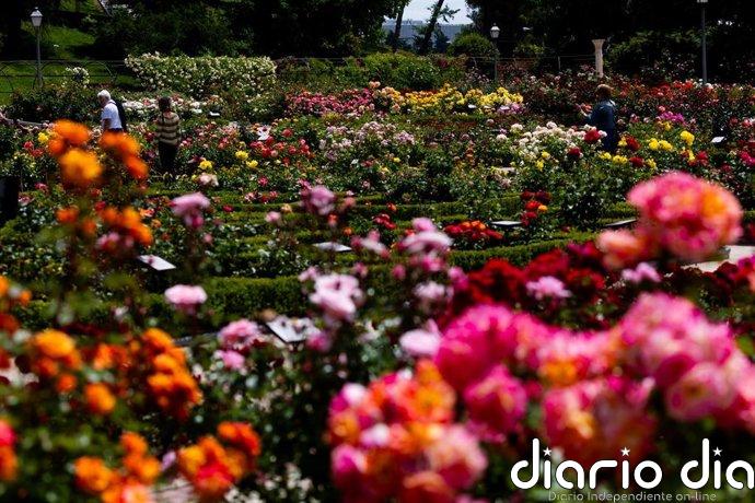 De antigua escombrera a jardín histórico: La Comunidad inicia la protección como BIC del Parque del Oeste de Madrid