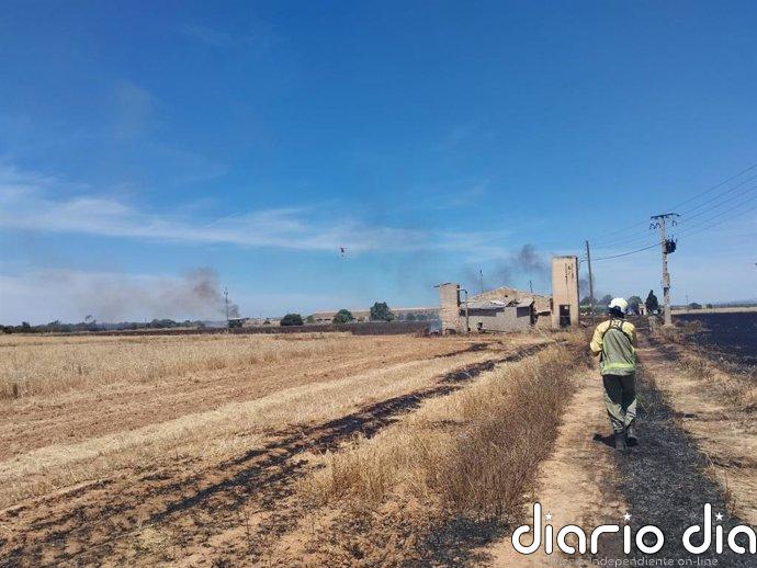 Declarado un incendio agrícola en Son Catlar, en Campos