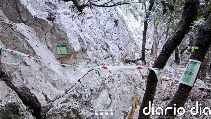 Denunciados dos guías por llevar a 19 escaladores a una zona restringida en la Garrotxa (Girona)