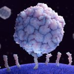 Desarrollan un nuevo adyuvante para vacunas que podría facilitar la erradicación de la polio