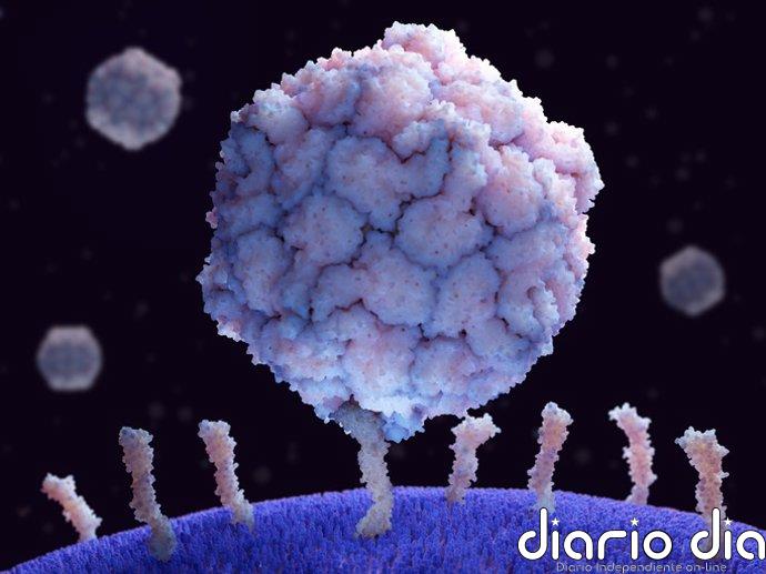 Desarrollan un nuevo adyuvante para vacunas que podría facilitar la erradicación de la polio