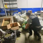 Desarticulado un centro de producción de marihuana y hachís en una nave industrial de Santa Fe (Granada)