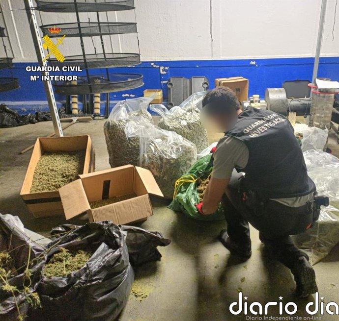Desarticulado un centro de producción de marihuana y hachís en una nave industrial de Santa Fe (Granada)