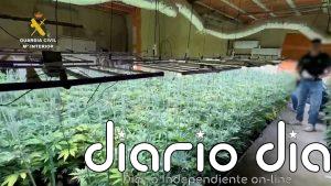 Desmantelada una sofisticada plantación de marihuana en un chalet de Picassent