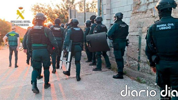 Desmantelan una doble plantación de marihuana en Oliva y detienen a cuatro hombres