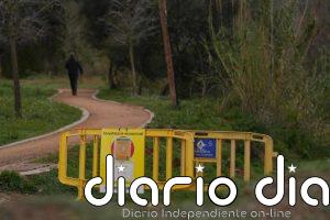 Detectados 6 nuevos positivos de PPA en la zona de alto riesgo de Collserola (Barcelona)