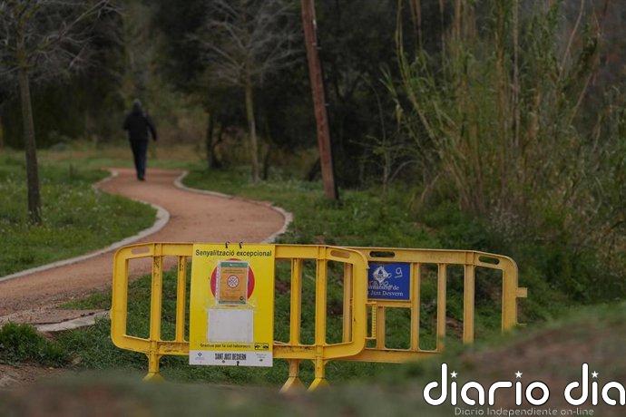 Detectados 6 nuevos positivos de PPA en la zona de alto riesgo de Collserola (Barcelona)