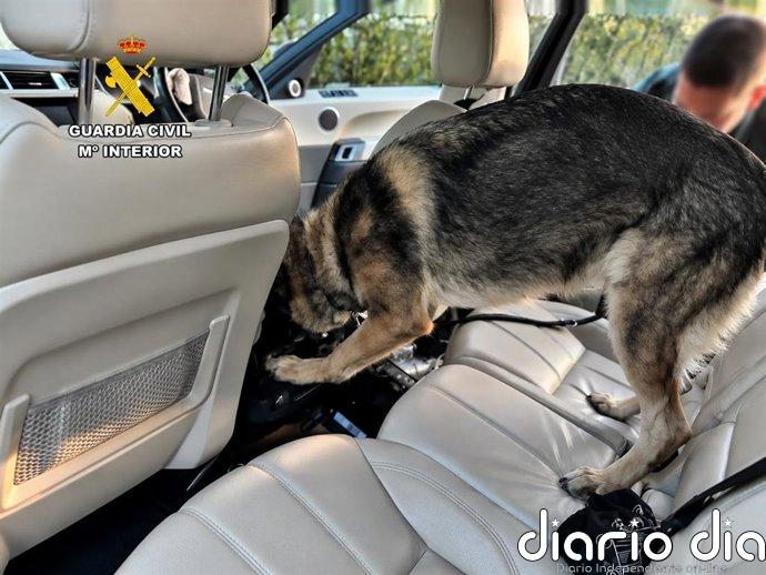 Detenido conduciendo en Eivissa un coche robado en el Reino Unido y con droga escondida en un doble fondo