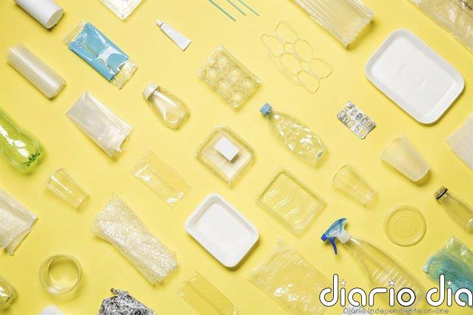 Día Mundial del Medio Ambiente: del champú al táper, las fuentes de disruptores endocrinos que usamos a diario
