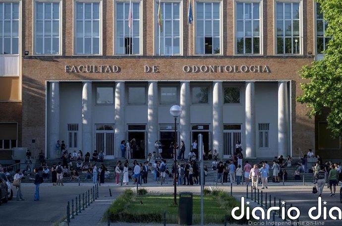Diseño gráfico, emprendimiento o videojuegos: los cursos que ofrecerán 19 colegios mayores desde el 6 de julio