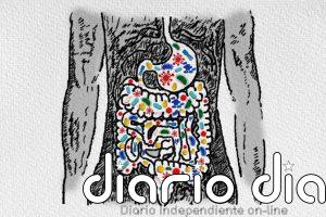 EII: el mapa celular más detallado hasta la fecha revela qué genes y células disparan la inflamación intestinal