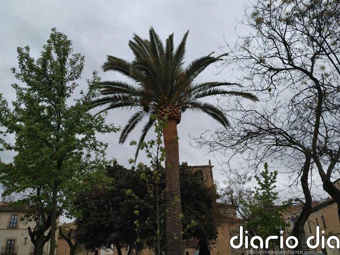 El Ayuntamiento de Cáceres activa el protocolo de ola de calor para personas sin hogar ante las altas temperaturas