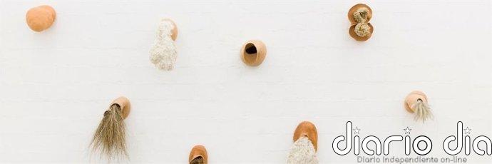 El Centro Botín presenta por primera vez en España la obra multidisciplinar de la artista brasileña Solange Pessoa