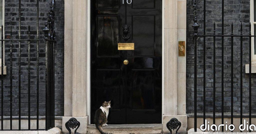 El gato Larry acapara los focos en Downing Street en una jornada clave para Starmer