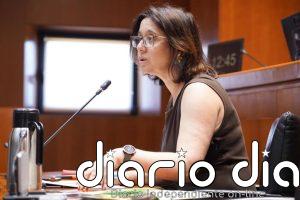 El Gobierno de Aragón cree que el proyecto de Enel para el Nudo Mudéjar es "claramente insuficiente" para Andorra