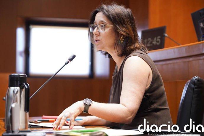 El Gobierno de Aragón cree que el proyecto de Enel para el Nudo Mudéjar es "claramente insuficiente" para Andorra