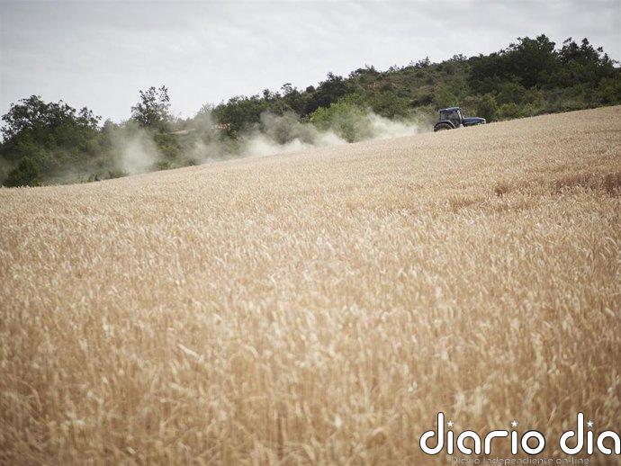 El Gobierno de Navarra llama a la "prudencia" y a la "responsabilidad" ante las altas temperaturas