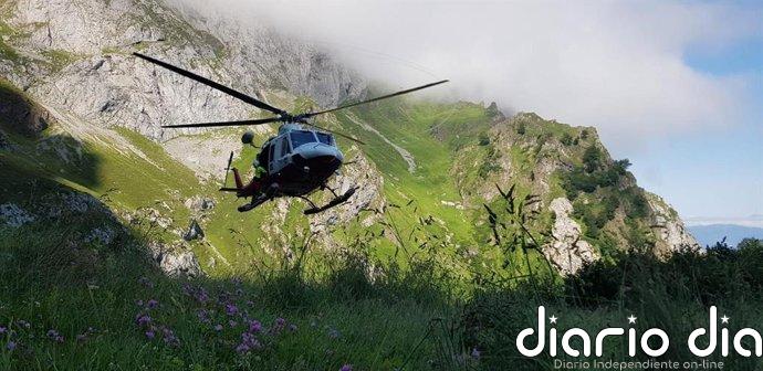 El helicóptero rescata en Camaleño a un senderista vasco de 76 años con esguince en la pierna