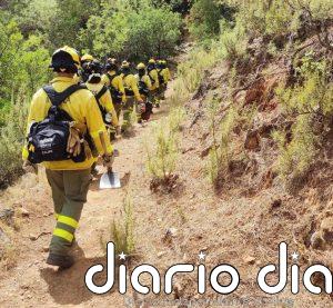 El Infoca da por extinguido el incendio forestal de Gibraleón y controlado el fuego en Alosno, ambos en Huelva
