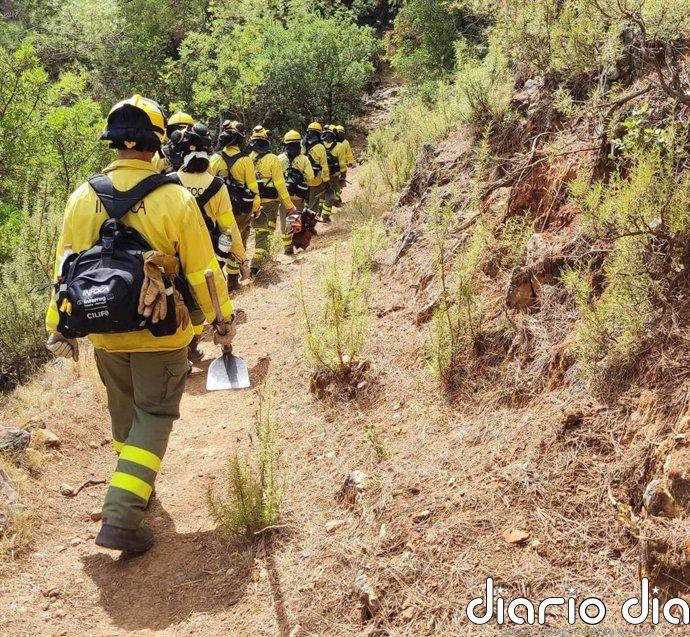 El Infoca da por extinguido el incendio forestal de Gibraleón y controlado el fuego en Alosno, ambos en Huelva