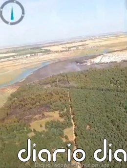El Infoca da por extinguido el incendio forestal declarado en un paraje de Gibraleón (Huelva)