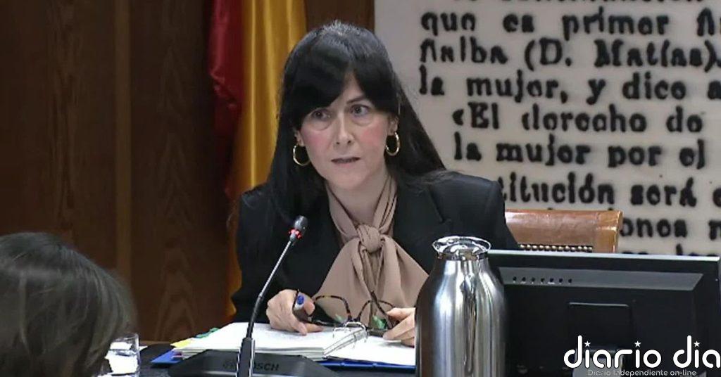 El juez Pedraz imputa a la actual presidenta de la SEPI y a 24 personas más en el caso Leire Díez