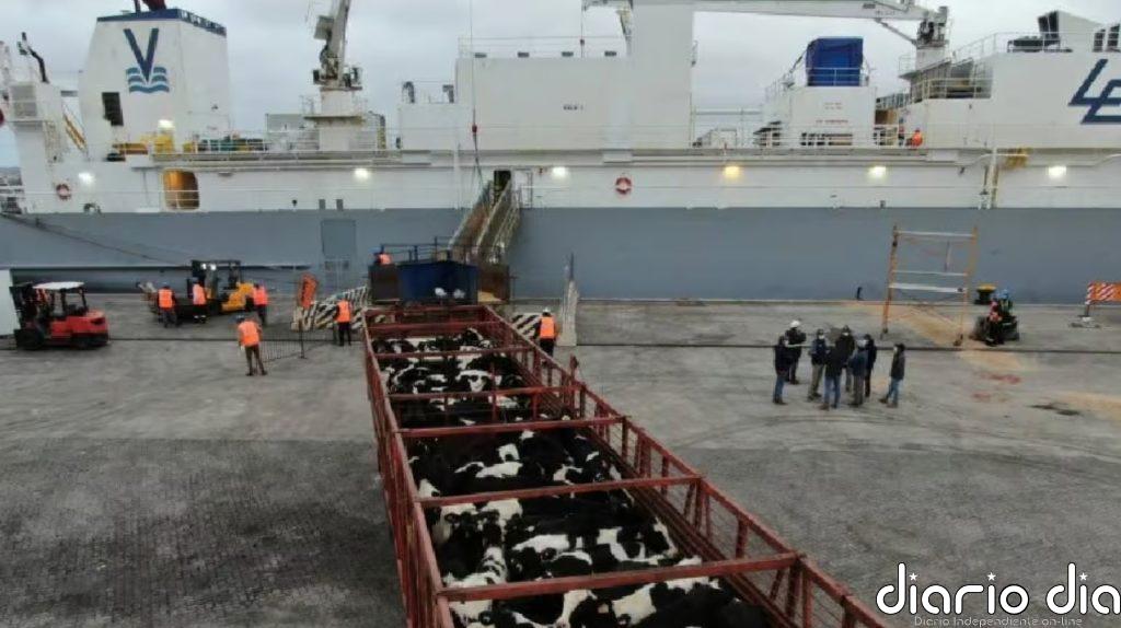 El Mercosur avanza en un contexto internacional desafiante