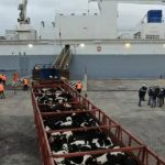 El Mercosur avanza en un contexto internacional desafiante