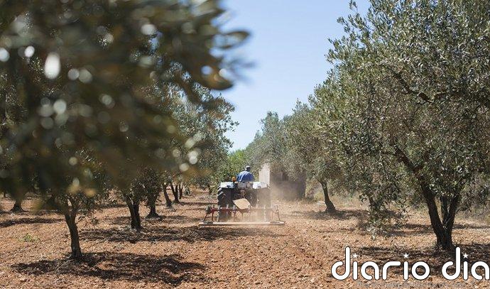 El Ministerio de Agricultura convoca las ayudas del plan Renove de maquinaria agraria por más de 9,5 millones