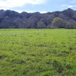 El pasado mayo fue el segundo más cálido en Cantabria desde 1961