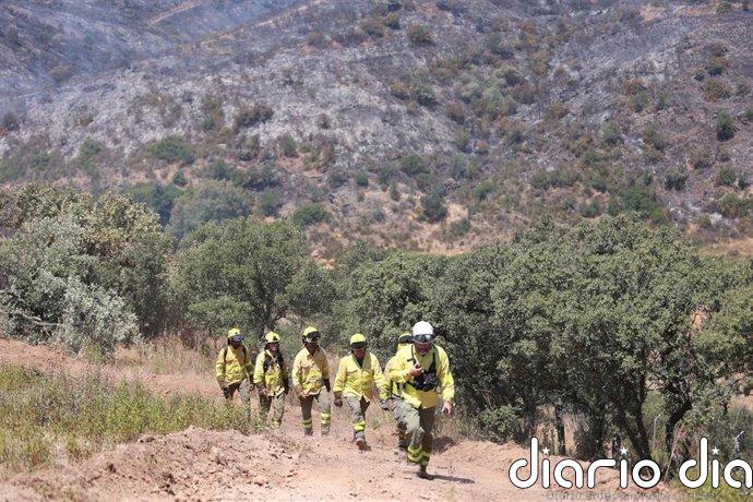 El Plan Infoca da por extinguido el incendio de Villanueva de los Castillejos (Huelva)