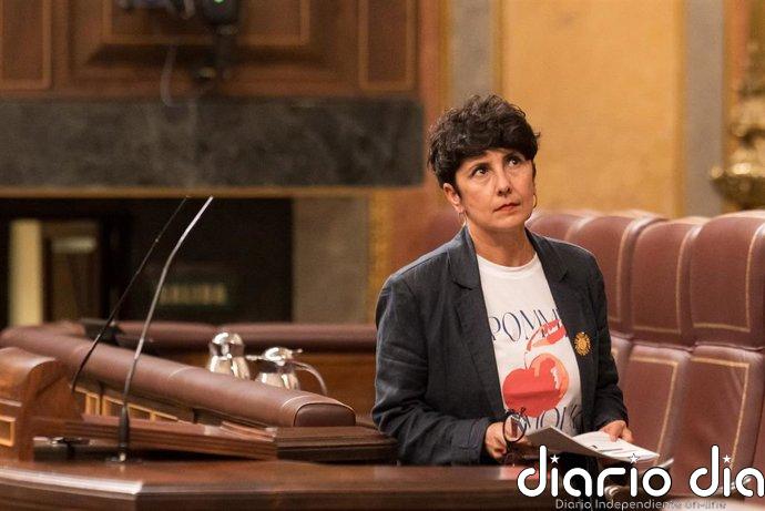 El PNV interroga a Sánchez en el Congreso para saber cómo pretende aprobar los Presupuestos de 2027