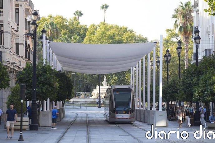 El PSOE de Sevilla critica la gestión de los toldos de la Costitución: "algo huele muy mal"