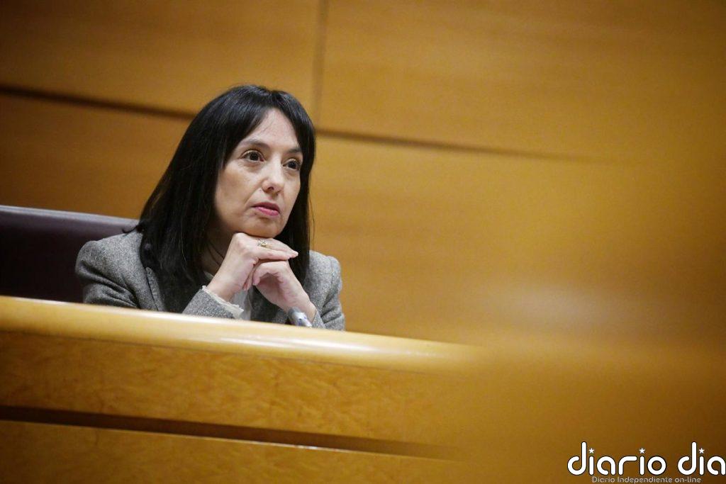 El Senado pospone la comparecencia de la directora de la Guardia Civil al martes 16 de junio